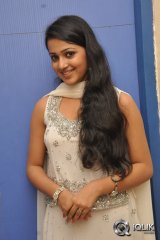 Samskrithi at Hrudayam Ekkadunnadi Audio Launch